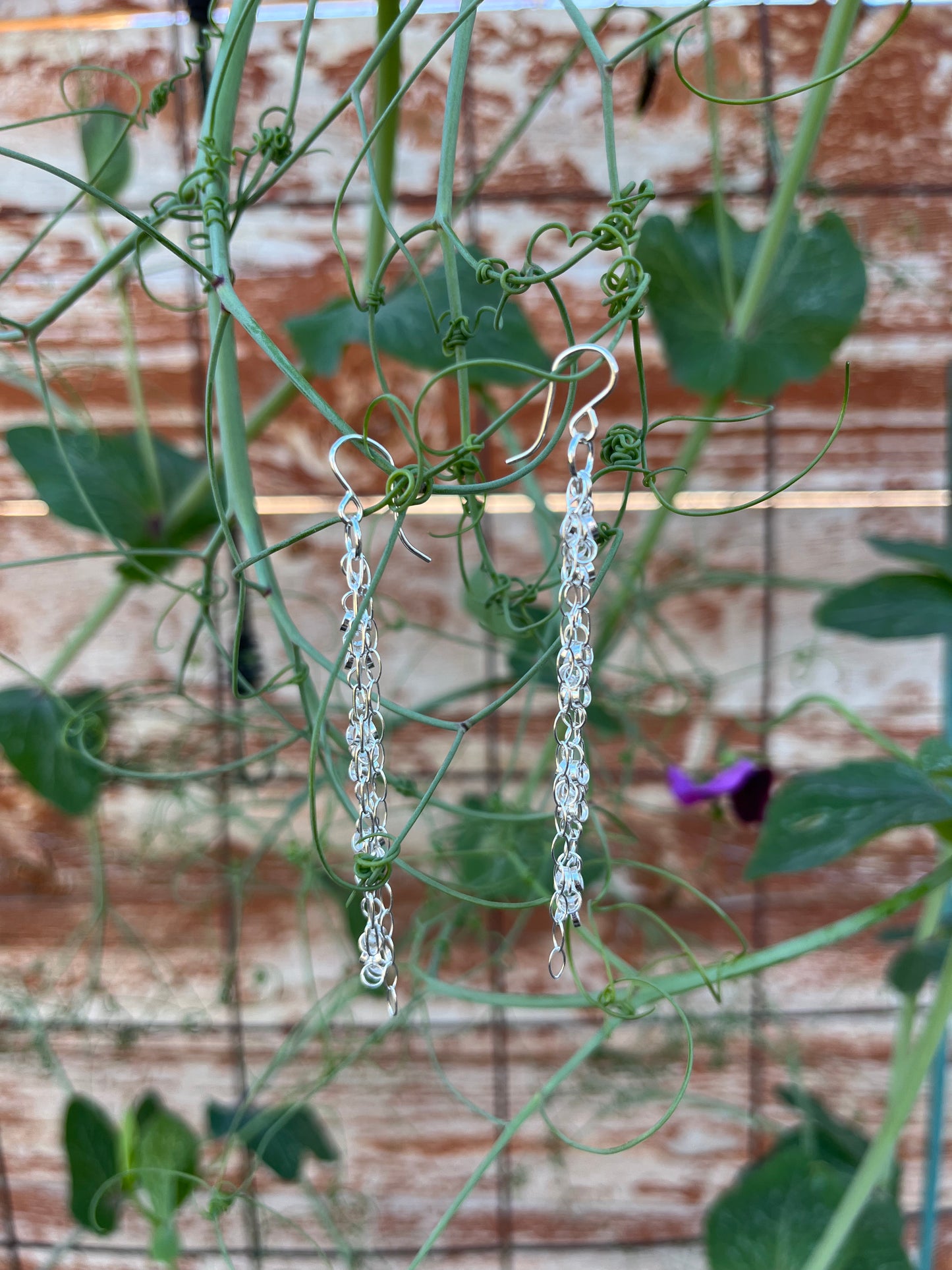 Sterling Vine Earrings