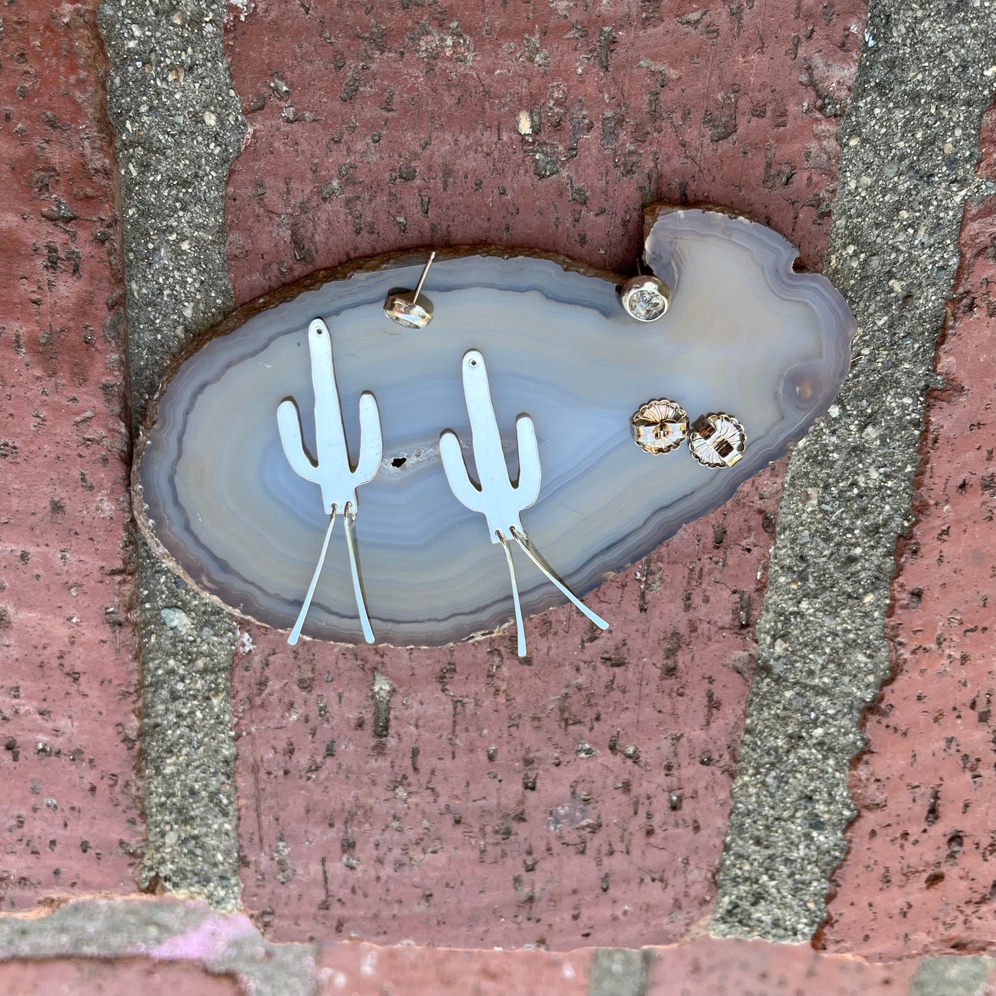 Crested Saguaro Ear Jackets